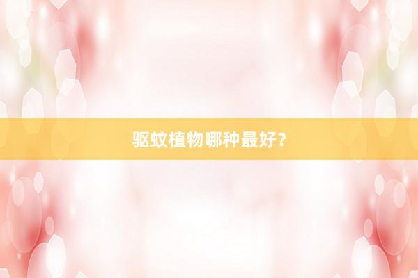 驱蚊植物哪种最好?