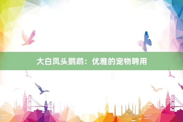 大白凤头鹦鹉：优雅的宠物聘用