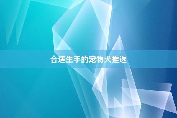 合适生手的宠物犬推选